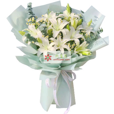 大庆6支白色多头百合，温馨的祝福
