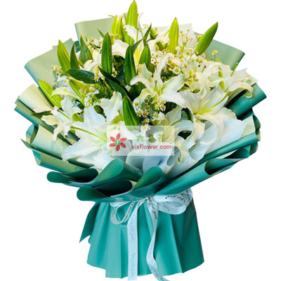 大庆8支白色多头百合洋甘菊，如潮的思念