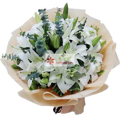 大庆9支白色多头百合，祝福你幸福